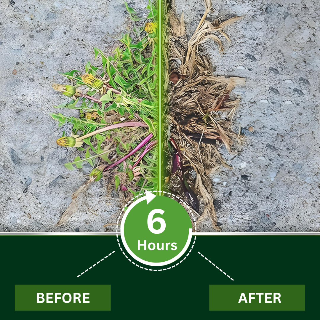 ✨ Eradicate Weeds Safely! | ⏱️ Glyphosate-Free & 6-Hour Results! | AEXZR® 2 in 1 Max Power Herbicide
