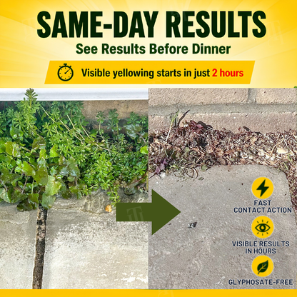 ✨ From Stubborn Weeds to Pristine Yard! | ⏱️ See Visible Wilting in Just 4 Hours! | RZXEA™ RapidBurn Contact Herbicide