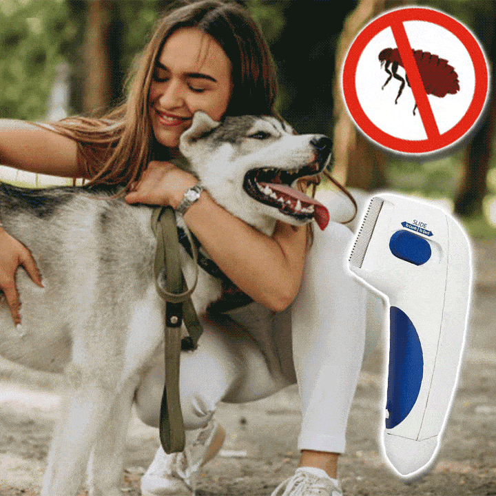 FleaAway Electric Flea Comb