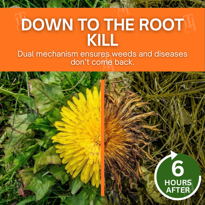 (100% Glyphosate-Free) | ⏳ Watch Weeds Wither in 6 Hours! AEXZR® 2-in-1 Max Power Herbicide