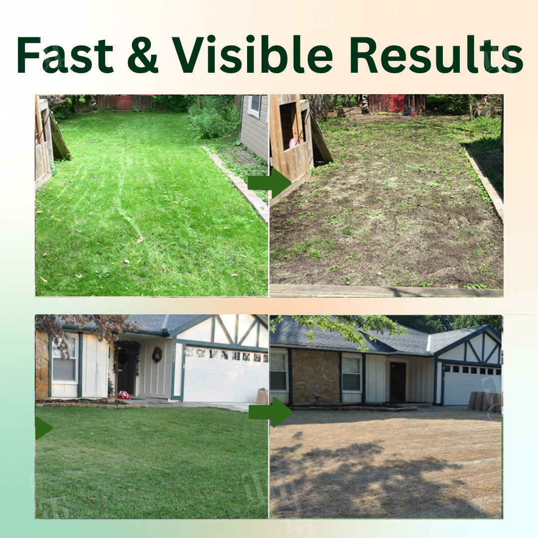 ✨ Eradicate Weeds Safely! | ⏱️ Glyphosate-Free & 6-Hour Results! | AEXZR® 2 in 1 Max Power Herbicide