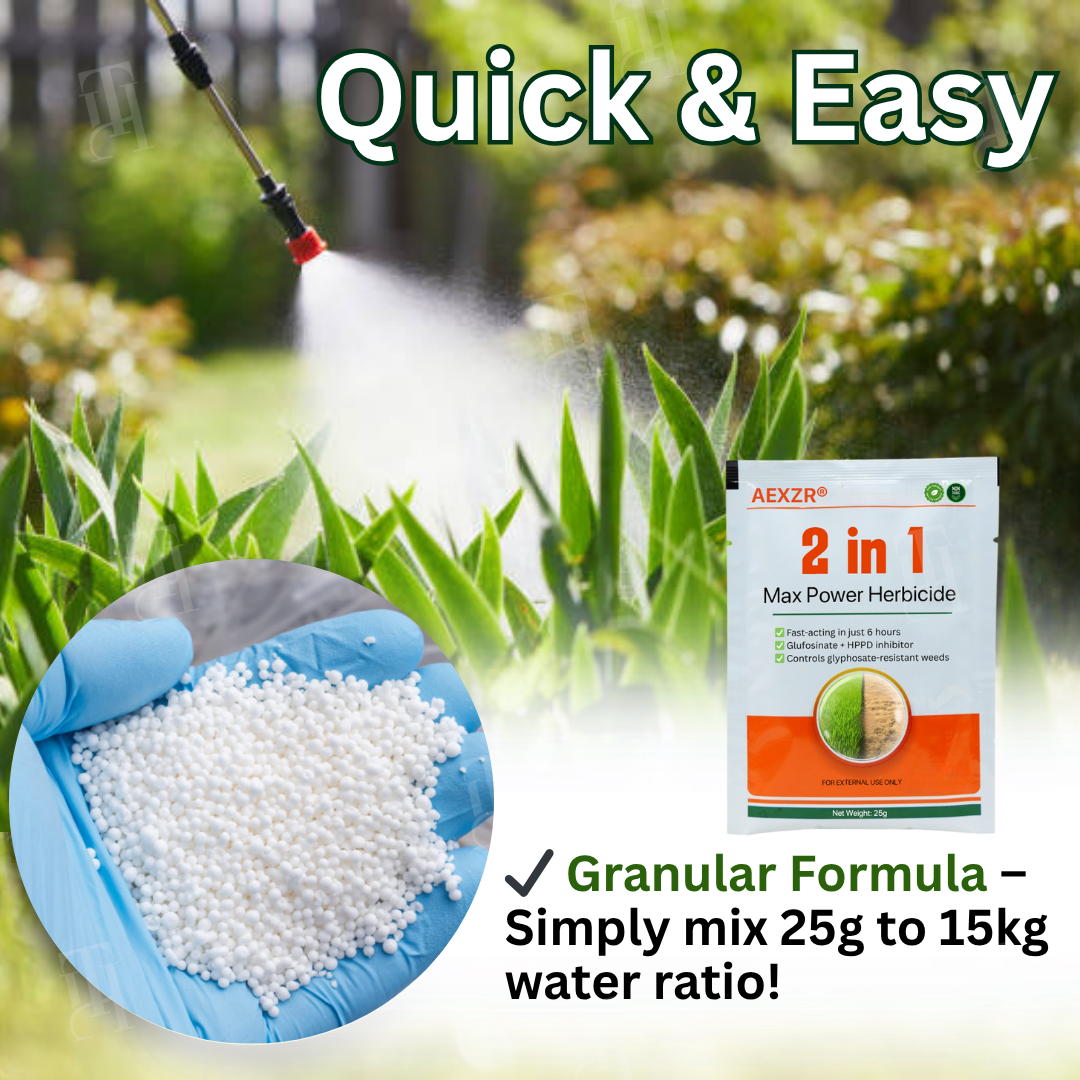 ✨ Eradicate Weeds Safely! | ⏱️ Glyphosate-Free & 6-Hour Results! | AEXZR® 2 in 1 Max Power Herbicide