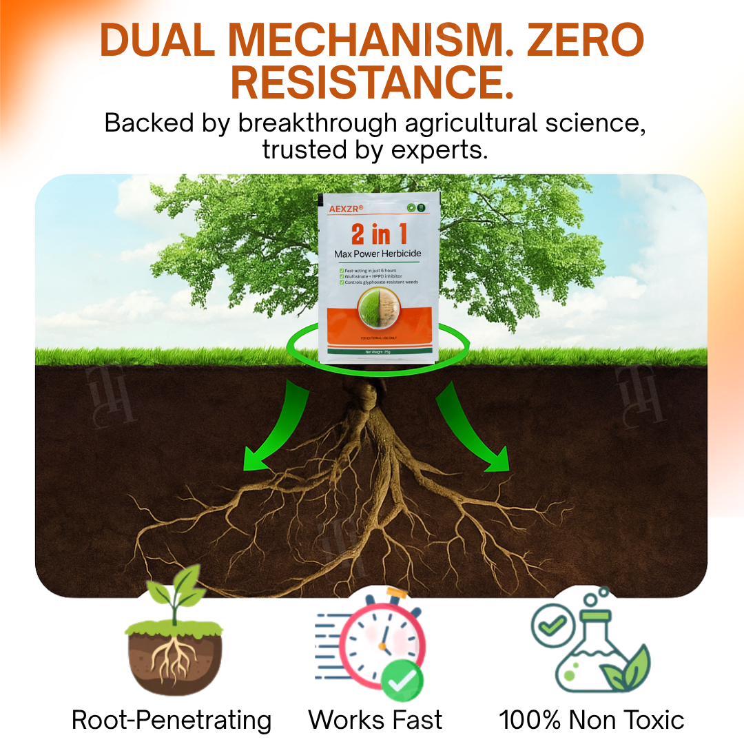 (100% Glyphosate-Free) | ⏳ Watch Weeds Wither in 6 Hours! AEXZR® 2-in-1 Max Power Herbicide
