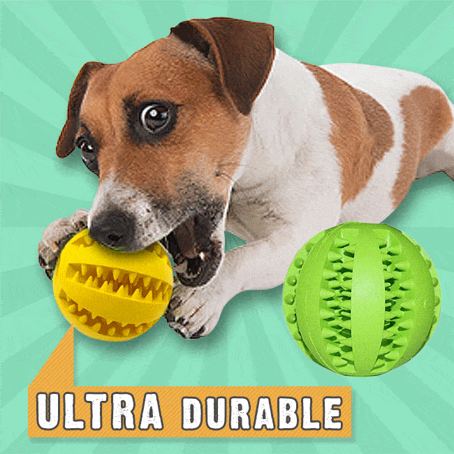 HappyPet™ Interactive Chew Toy