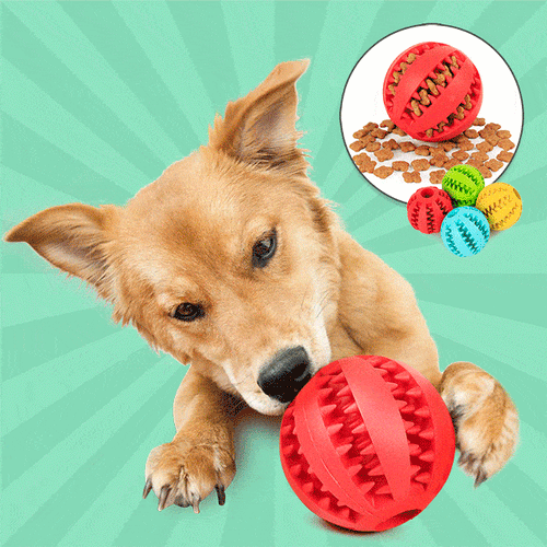 HappyPet™ Interactive Chew Toy